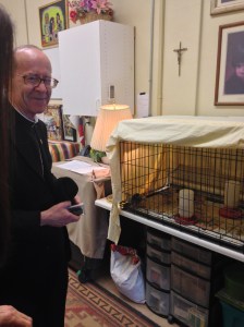 They even have baby chicks!