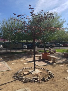 Bronze Tree in Memory of Sr. Dorothy Stang, SSNDN, former principal of Holy Trinity School in Phoenix.